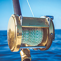 close up of a rod reel