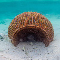tradional fishing basket in the water