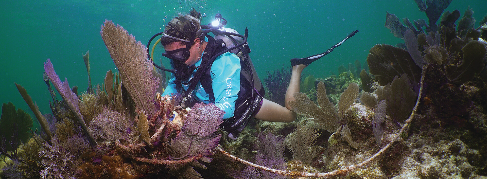 A snorkeler observing a shipwreck just beneath the surface