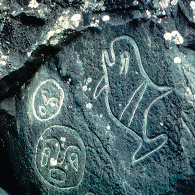 A petroglyph of an orca