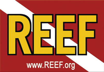 Reef Environmental Education Foundation logo