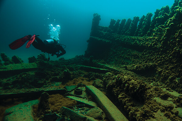 A diver swims near a shipwreck