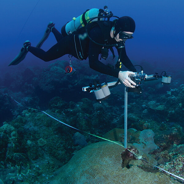 A diver taking measurements of coral