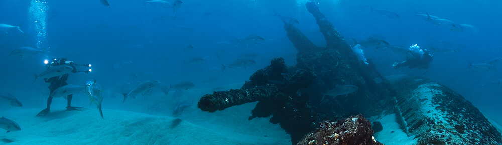 Divers swimming around the wreck of a U-boat