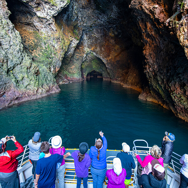 People on a boat photograph the enterance to a cave