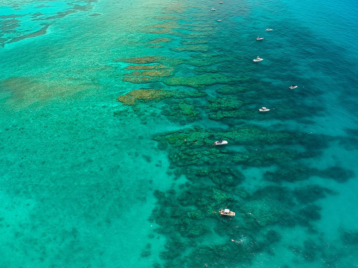 a coral reef formation is visible beneath clear blue water