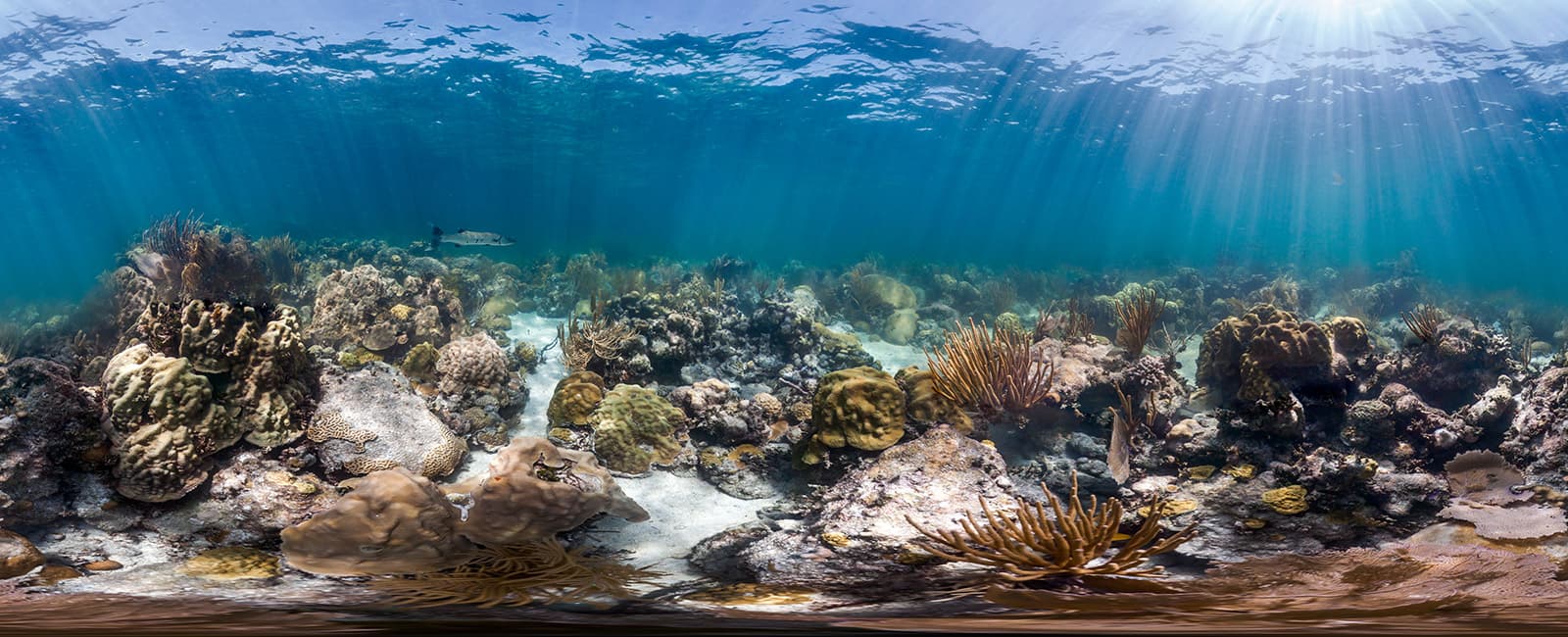 360 imag of cheeca rocks coral reef
