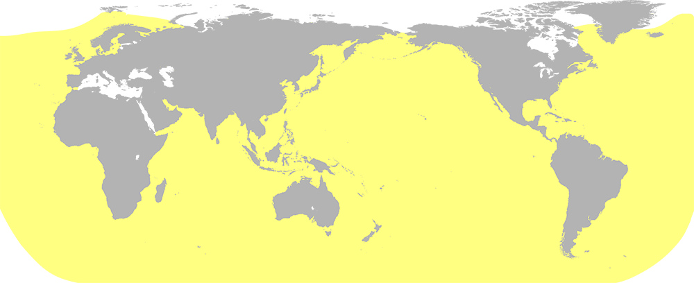 A world map highlighting most of the world's ocean