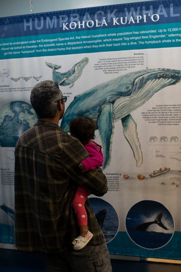 A man holds a child as they look at a poster of a whale