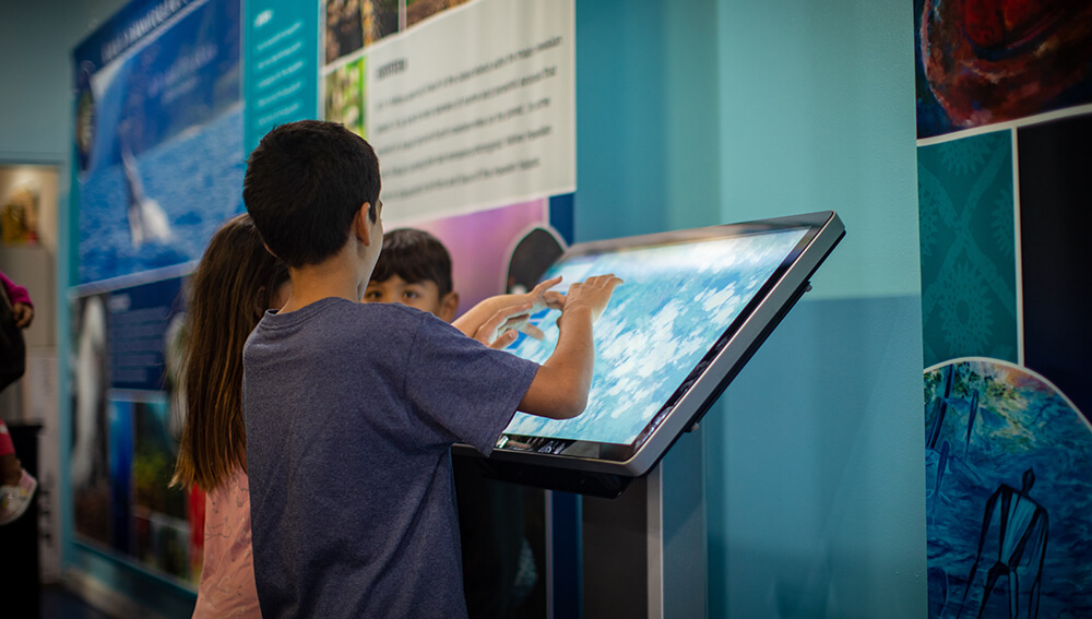 3 children use a touch screen kiosk