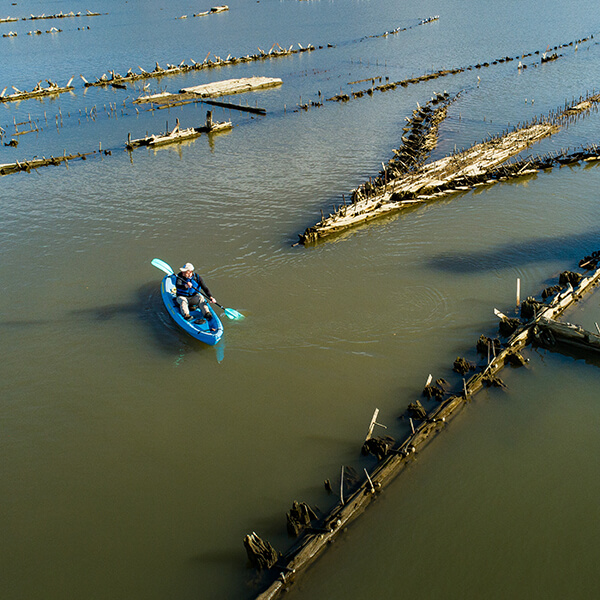 A kayaker paddles near a shipwreck