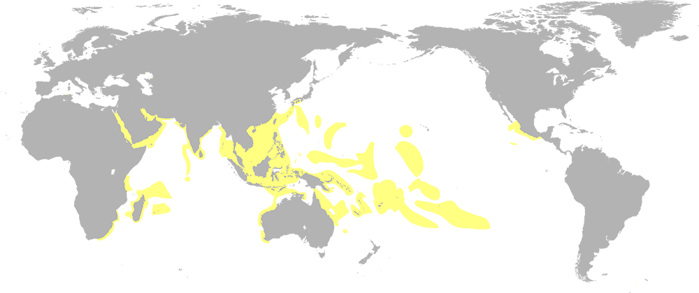 A world map highlighting portions of the pacific and Indian oceans