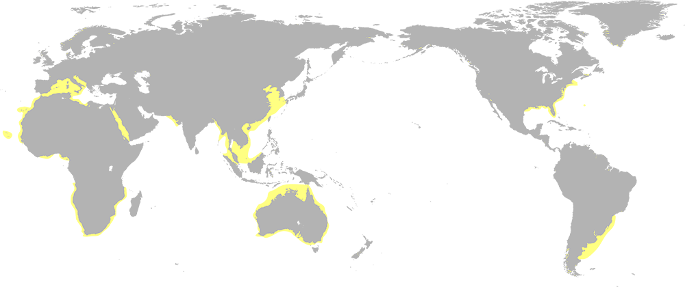 A world map highlighting the east coast of the united staates, part of the east coast of south america, the southern coast of europa, parts of the african coast, the australian coat and part of the coat of southeast asia