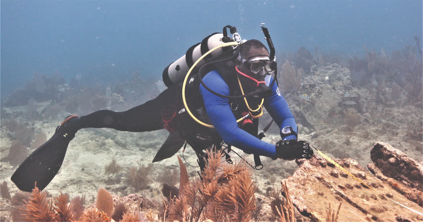 Jay Haigler diving