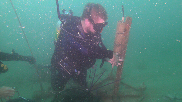 a diver works on underwater sound monitoring equipment