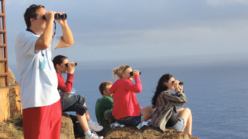 volunteers watching for humpback whales
