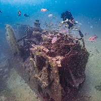 Diver near the tarpon  shipwreck
