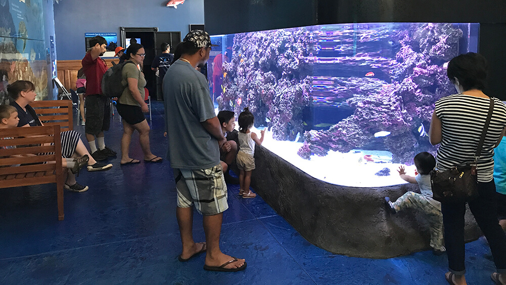 People watching the aquarium