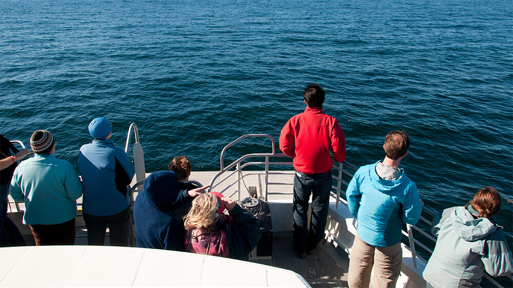 Visitors looking from the front of a boat