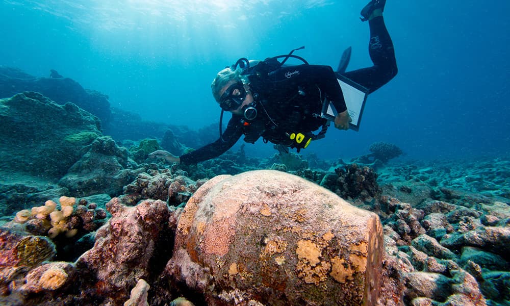 diver investigates a jar on a shipwreck