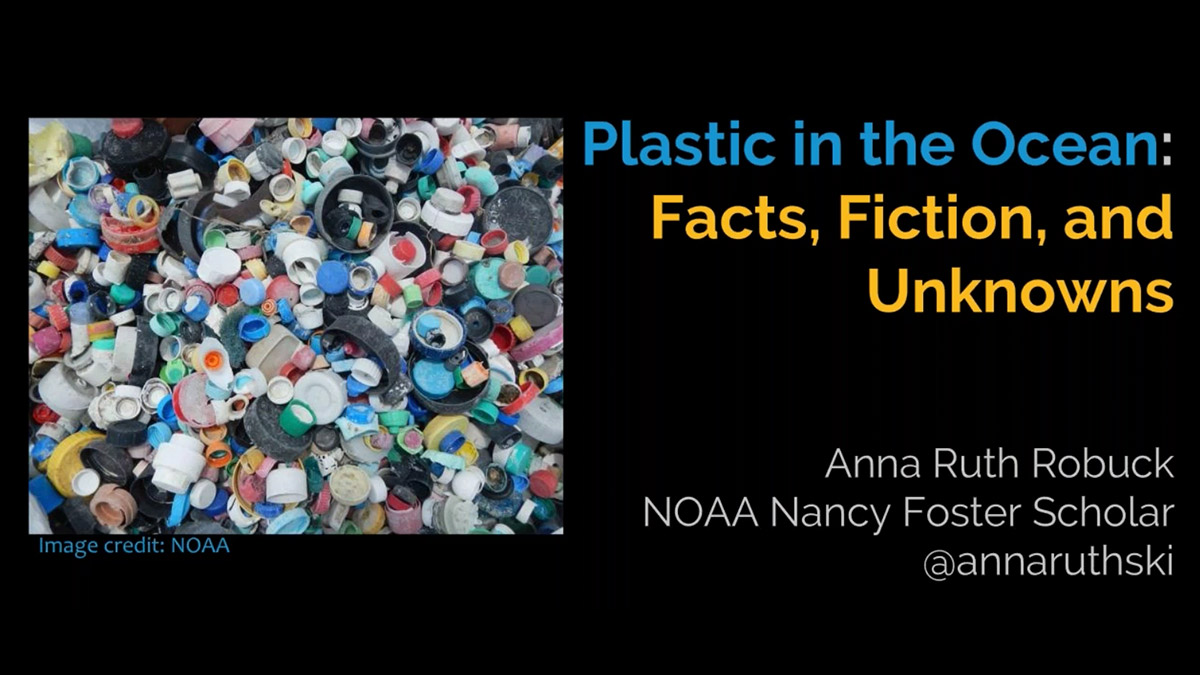 Plastics in the Ocean webinar preview