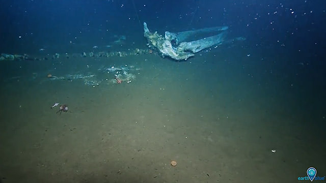 skeleton of a whale on the sea floor