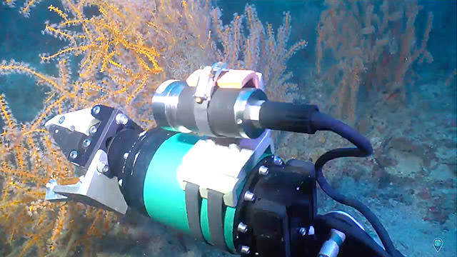 rov arm collecting samples