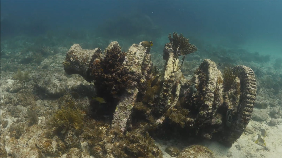A rusty piece of the shipwreck Slobodna lies on the ocean floor.