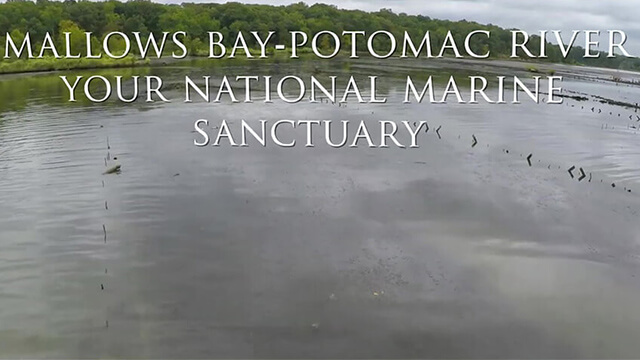 Mallows Bay-Potomac River Your National Marine Sanctuary