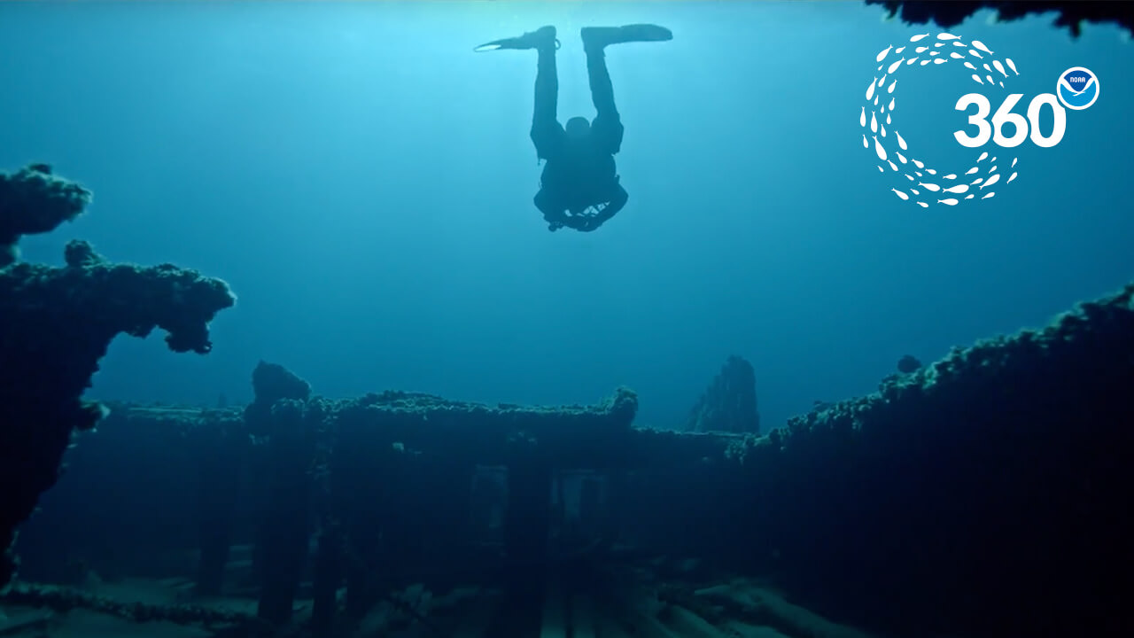 diver swims above the deck of a shipwreck
