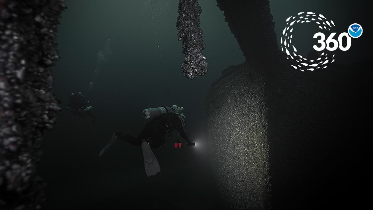 a diver explores a shipwreck