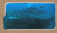 underwater photo of USS Monitor
