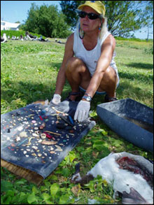 The author, Patty Greene, sorts through the 306 pieces of plastic debris found in a Laysan Albatross chick on Green Island.