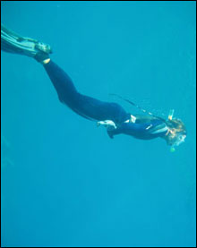 Ellyn Diving