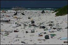 The remoteness of the area does not protect the islands from the prevailing ocean currents and man's trash.