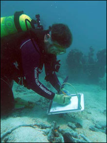 Tane Casserley documents a windlass at the Oshima wreck site.