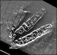 Side scan sonar images of the Frank A. Palmer and Louise B. Crary site
