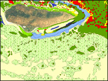 Example habitat map of Buck Island, USVI coral ecosystems habitats.