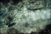 Diver films iron ballast scattered outside of the reef at Kure Atoll, 
near the shipwreck site