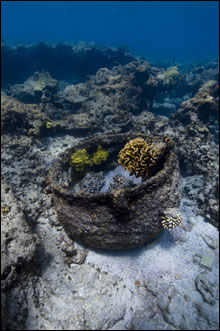 Three trypots on the site identify this as a wreckage of a 19th-century whaling ship.