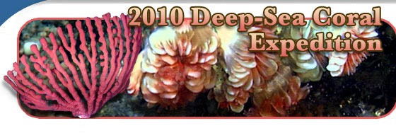 2010 Deep Sea Coral Cruise - west coast