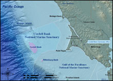 Cordell Bank National Marine Sanctuary is about 50 miles northwest of San Francisco 
