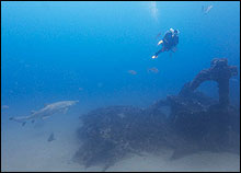 Chris Horrell, Marine Archaeologist from BOEMRE, dives on the remains of the Dixie Arrow.
