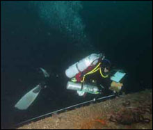 NOAA Scientist Conducts Biological Survey on WWII Shipwreck