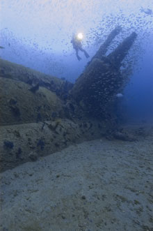 A diver over the U-352
