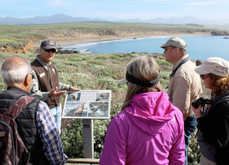 Volunteers learning about monterey bay