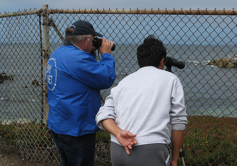 volunteer naturalists use binoculars and spotting scopes to educate the public about local wildlife