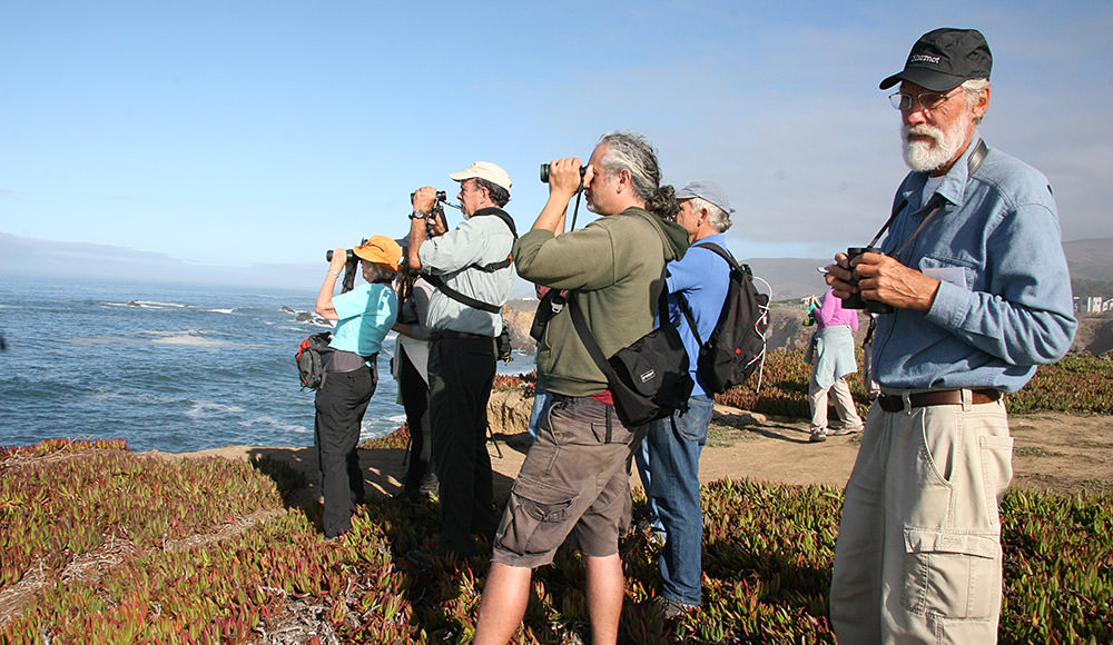 Beach Watch volunteers looking through binoculars to the sea