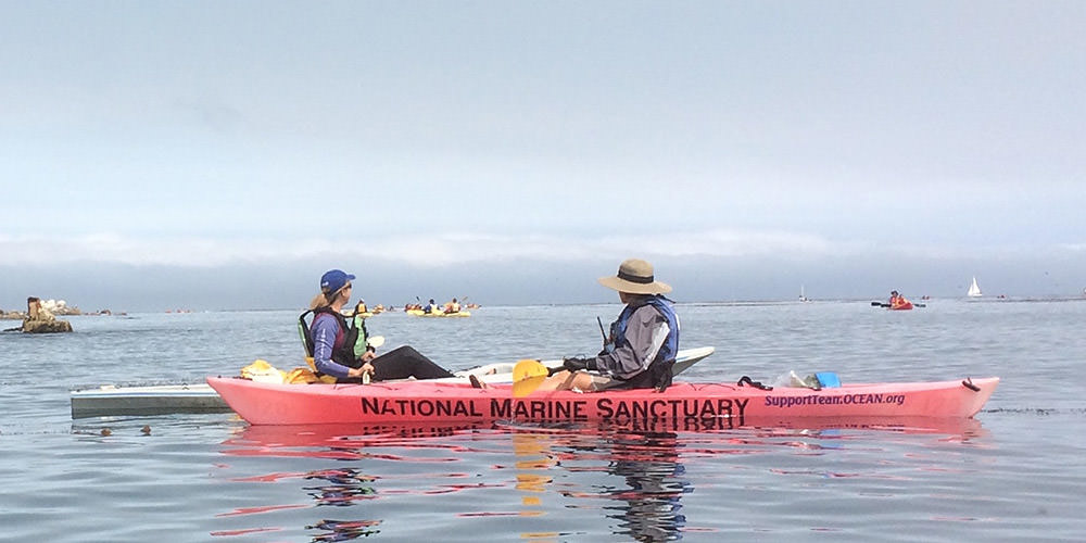 volunteers on kayaks in the water