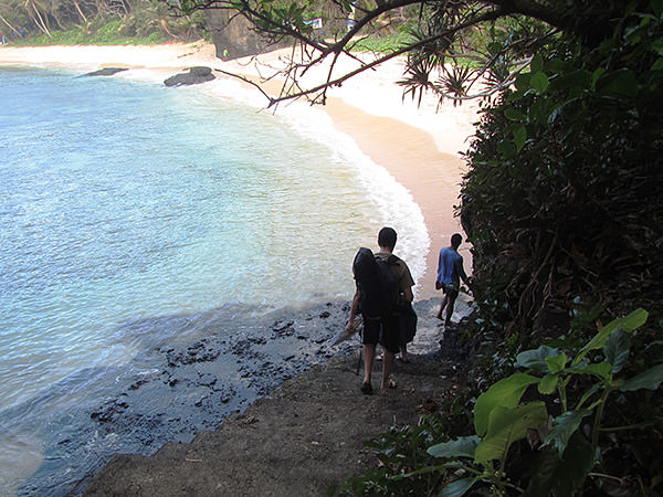 students hiking down a path near shore